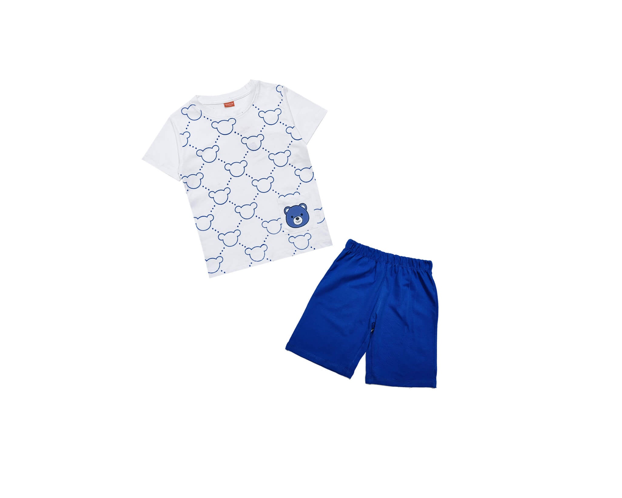 BearFaceAllOverTee_Short-White_RoyalBlue_1