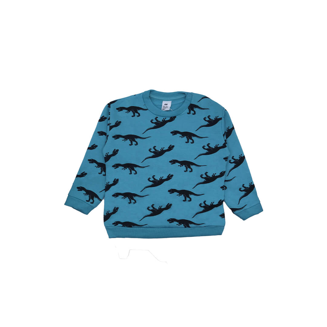 Dinosaur Print Terry Sweatshirt - Berylline
