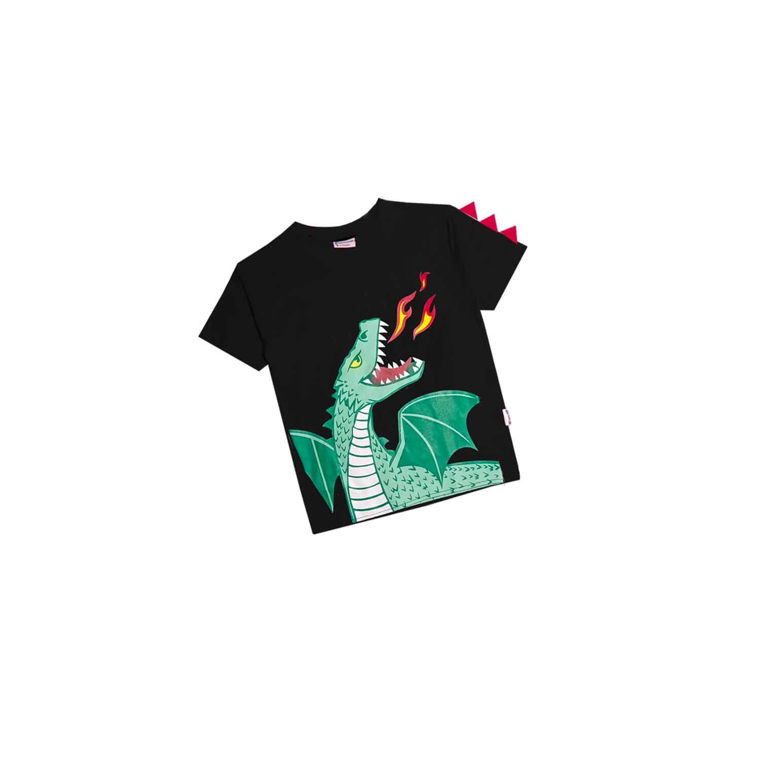 Dragon Fire Tee Shirt - Black
