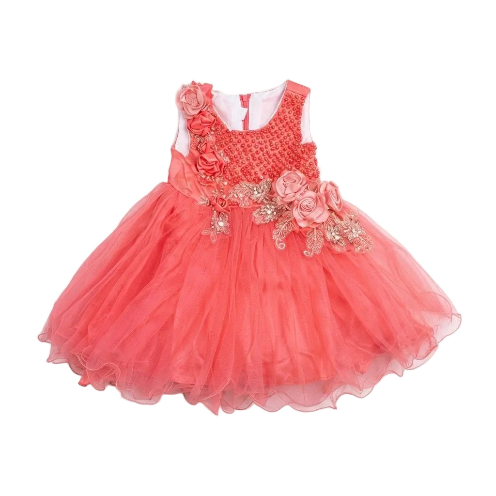 Roses Pink Baby Net Frock - Carrot