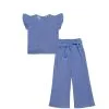 Butterfly Sleeves Jeans Top & Flapper Trouser - Sky Blue