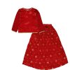 Fency Tilla & Sequin Work Lehnga & Short Shirt - Red