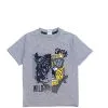 Wild Safari Lion Tee Shirt - Grey